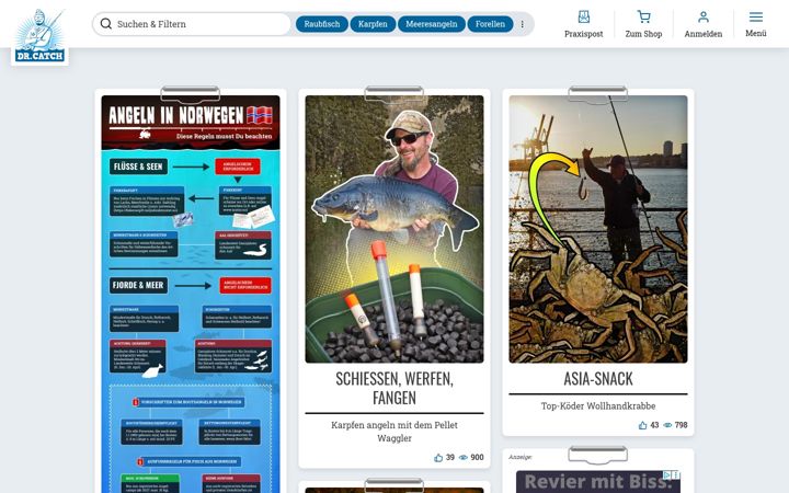 Screenshot of doctor-catch.com