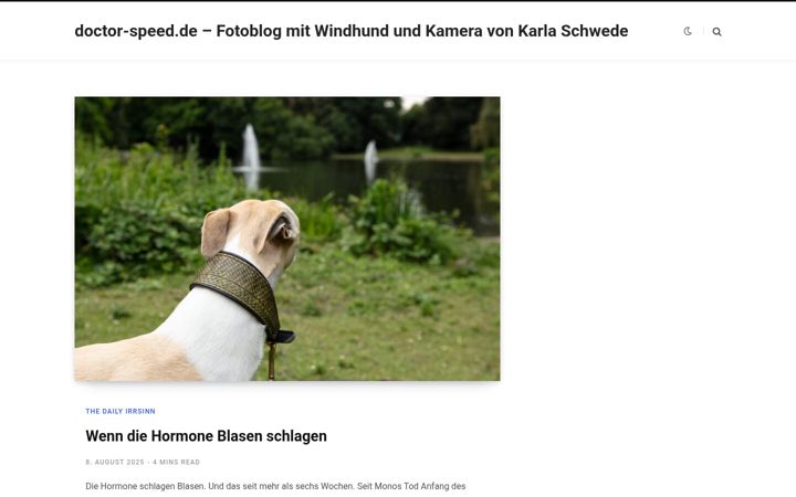 Screenshot of doctor-speed.de