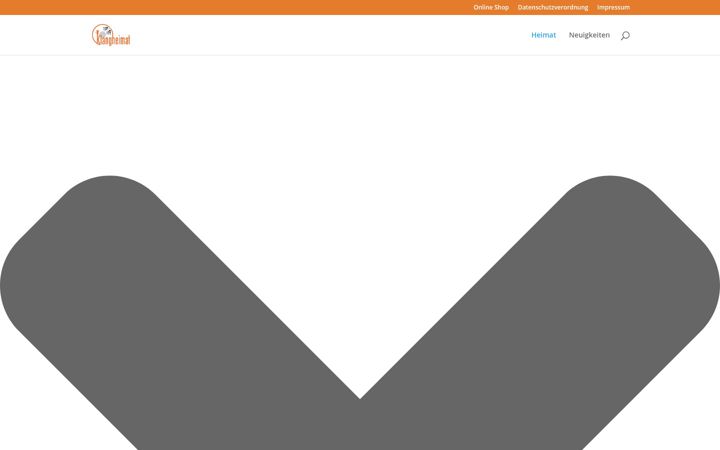 Screenshot of doctor-vinyl.de