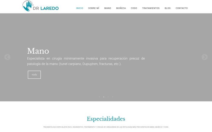 Screenshot of doctorlaredo.com