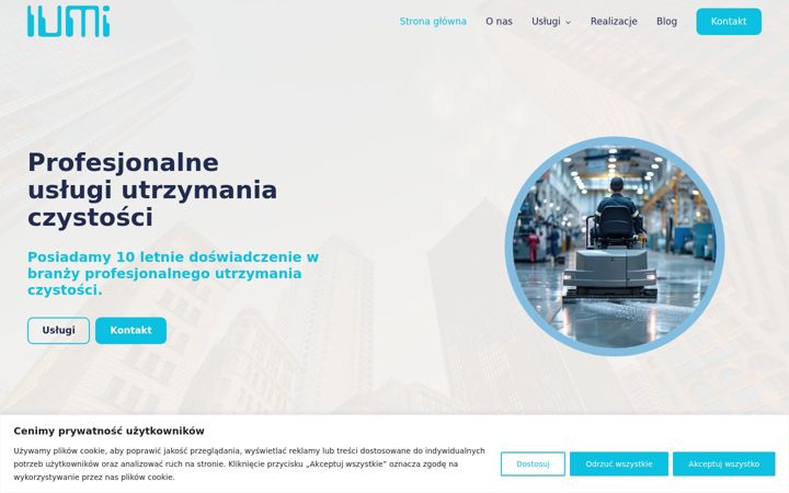 Skjámynd af doczyszczanie-lumi.pl