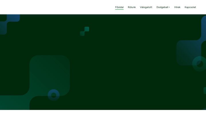Screenshot of dodgeballhungary.org