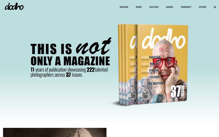 Screenshot of dodho.com