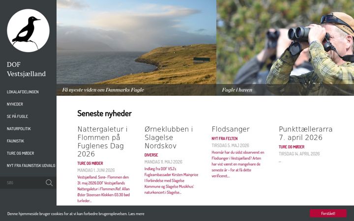 Screenshot of dofvsj.dk