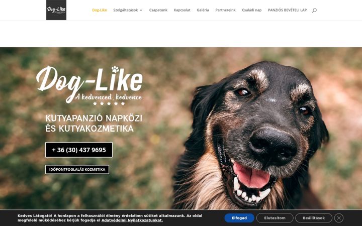 Screenshot of dog-like.hu