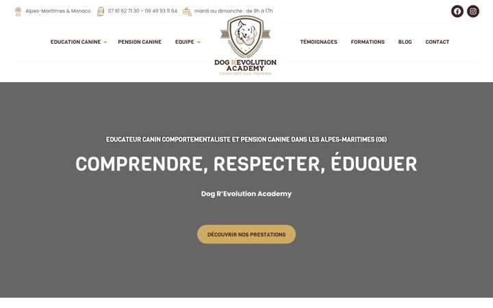 Screenshot of dog-revolution-academy.fr