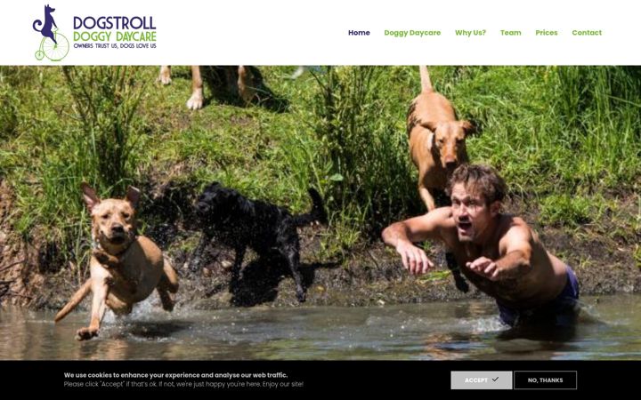 Screenshot of dog-stroll.co.uk