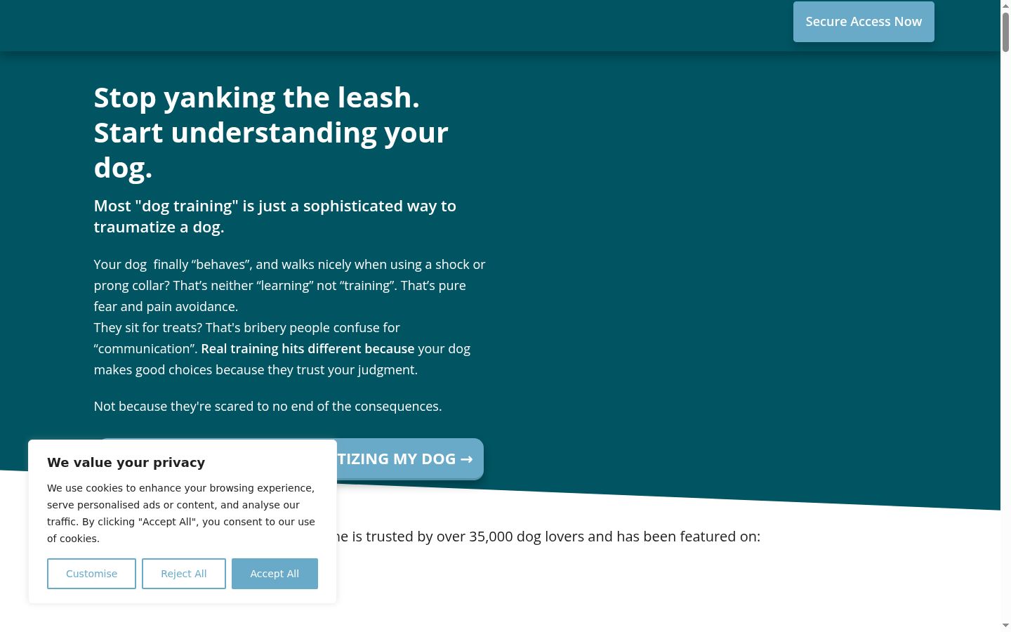Screenshot of the consent banner shown before any interaction