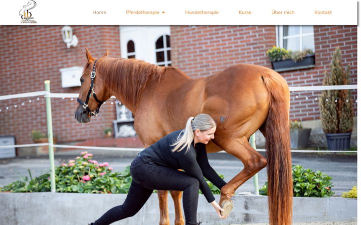 Screenshot of dogandhorse-inbalance.de