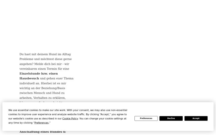 Screenshot of dogandwalkbylilli.com