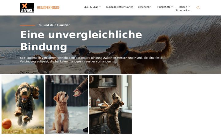 Screenshot of dogbasket.de