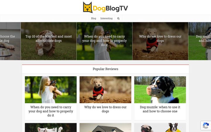 Screenshot of dogblogtv.com