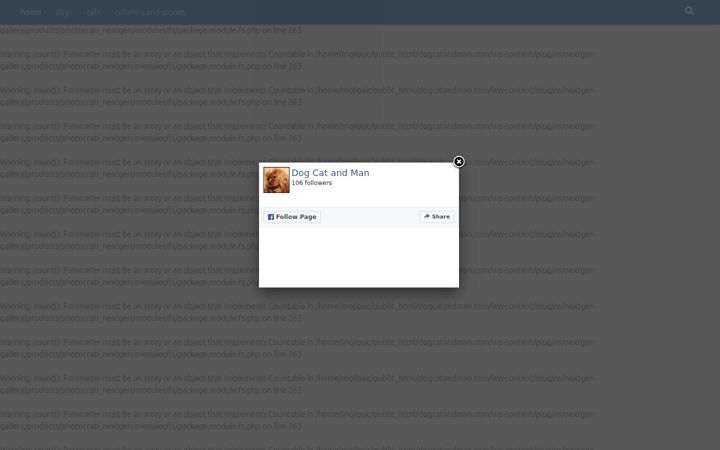 Screenshot of dogcatandman.com
