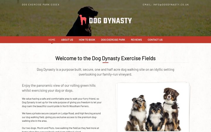 Captura de pantalla de dogdynasty.co.uk