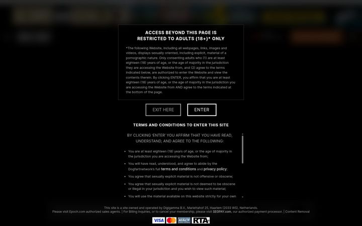 Screenshot of dogfartnetwork.com