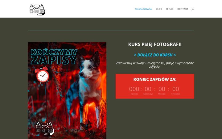 Snimka zaslona za dogfotoblog.pl