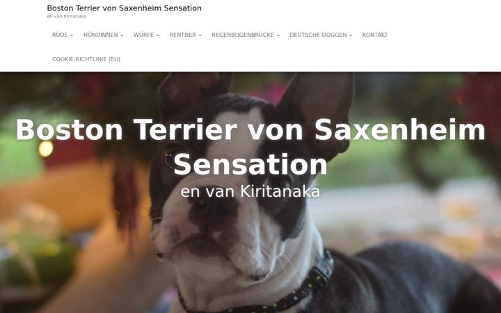 Screenshot of doggen-von-saxenheim-sensation.com