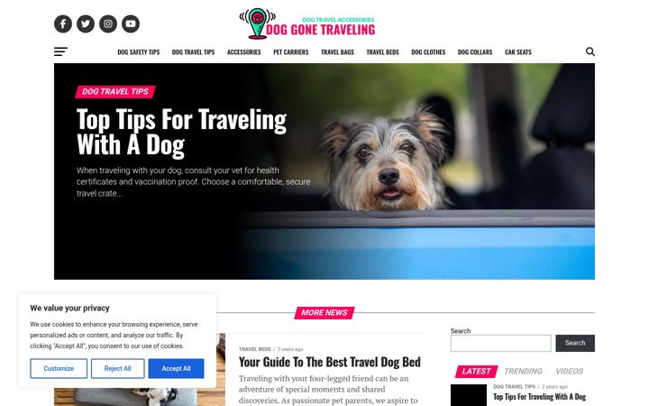 Screenshot of doggonetraveling.com