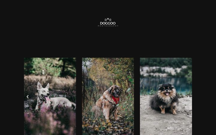 Screenshot ta' doggoophoto.pl