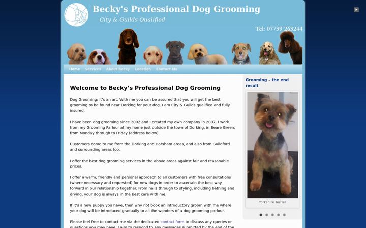 Screenshot of doggroomingdorking.co.uk