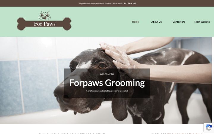 Screenshot of doggroomingnewcastle.co.uk