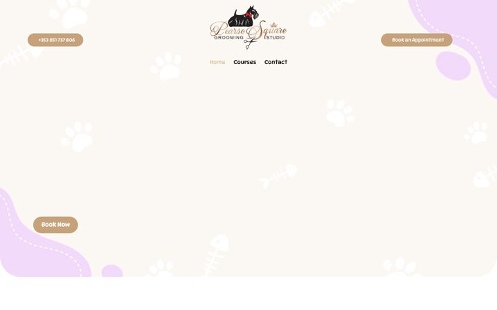 Snímek obrazovky doggroomingpearsesquare.ie