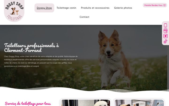 Screenshot of doggy-shop.fr