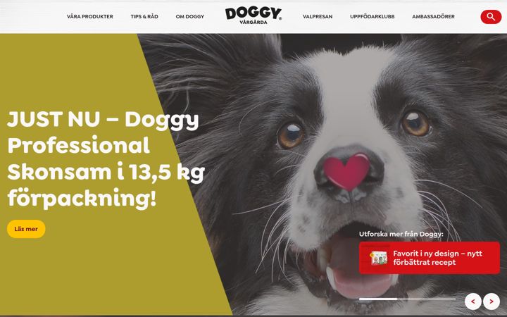 Képernyőkép: doggy.se