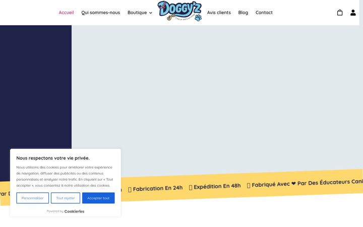 Screenshot of doggyz.fr