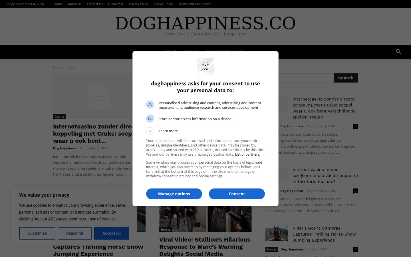 Screenshot del banner di consenso mostrato prima di qualsiasi interazione