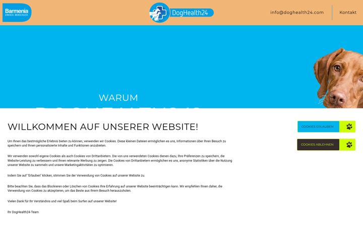 Screenshot of doghealth24.com
