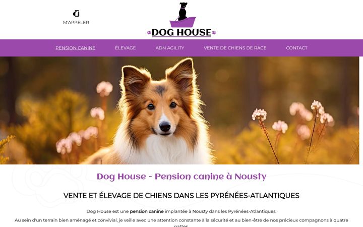 Screenshot of doghouse64.fr
