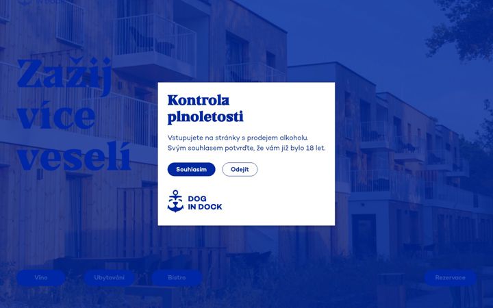 Screenshot of dogindock.cz
