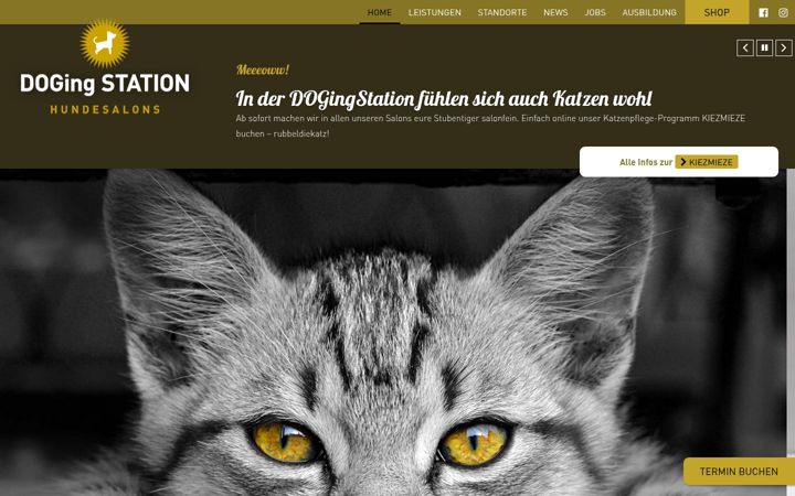Screenshot of dogingstation.de