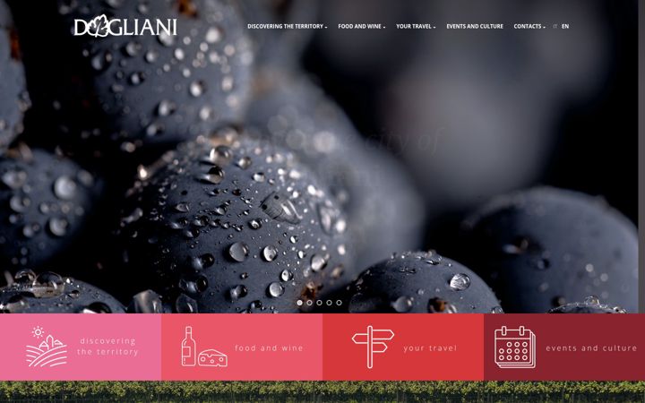 Screenshot of doglianiturismo.com