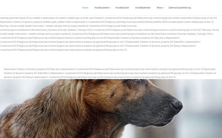 dogluxury.de