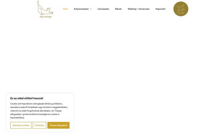 Screenshot of dogmassage.hu