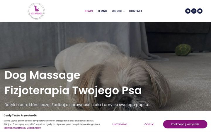 Snimka zaslona za dogmassage.pl