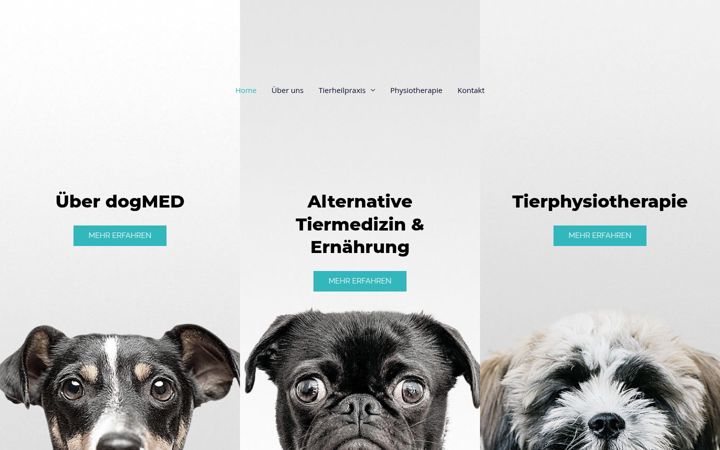 Screenshot of dogmed.eu