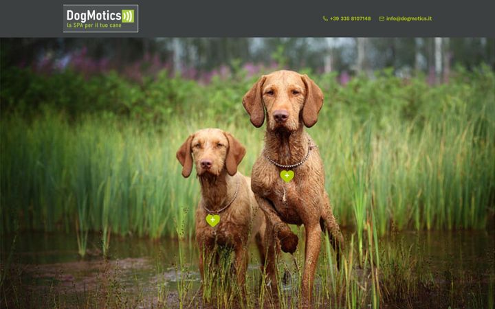 Captura de pantalla de dogmotics.it