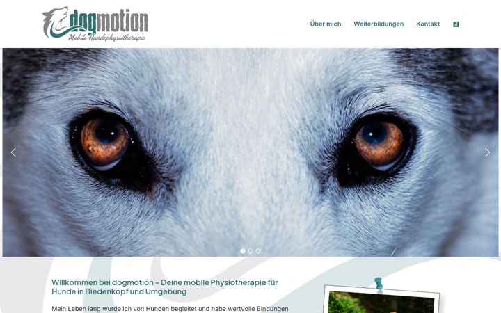 Snímek obrazovky dogmotion-physio.de
