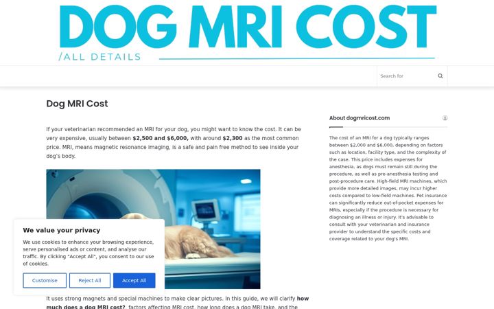Screenshot of dogmricost.com
