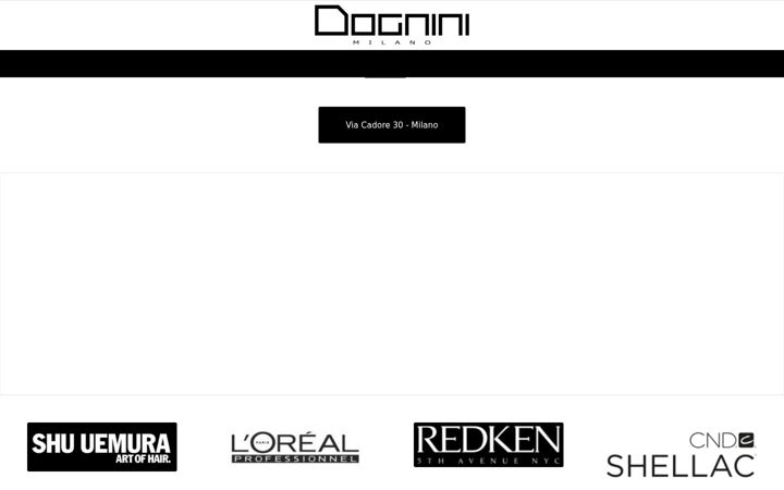 Screenshot of dogninimilano.it