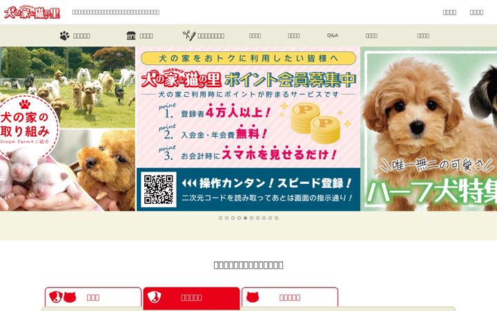 Screenshot of dognoie.com