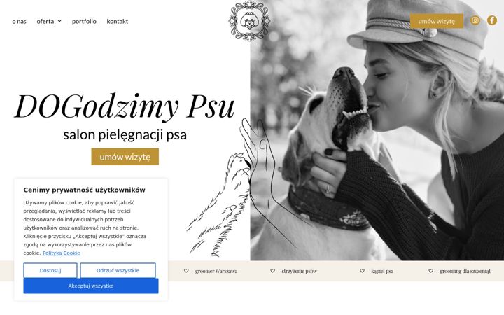 Snimka zaslona za dogodzimypsu.pl