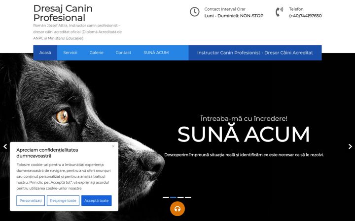 Screenshot of dogonline.ro