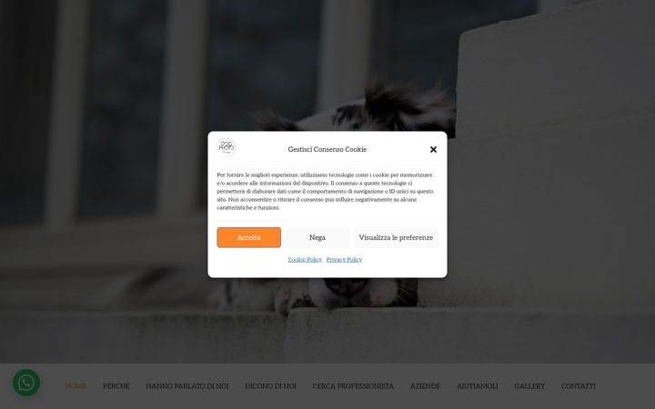 Screenshot of dogphotoitaly.com