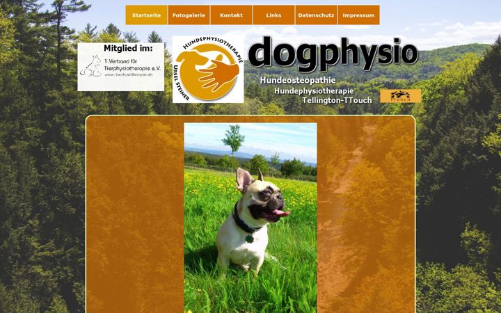 Snimka zaslona za dogphysio.net