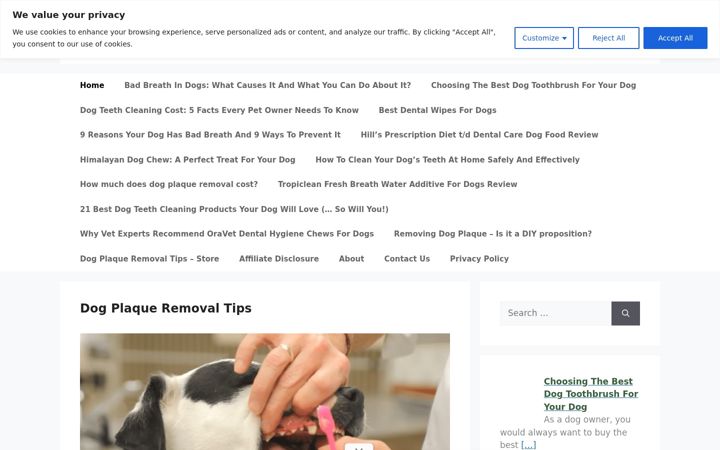Screenshot of dogplaqueremovaltips.com