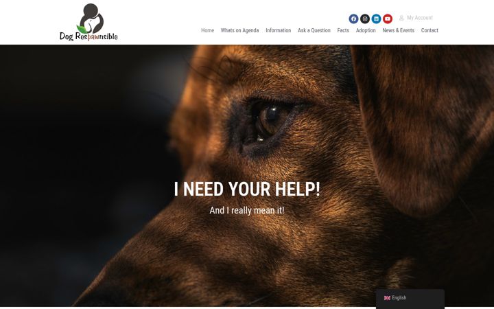 Screenshot of dogrespawnsible.com